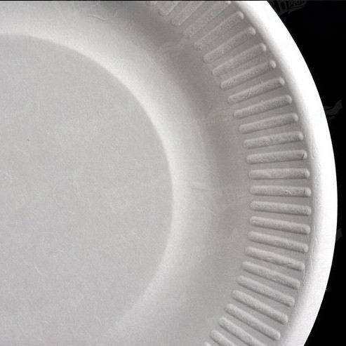 Disposable Paper Plates