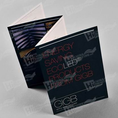 Foldout Brochure Printing