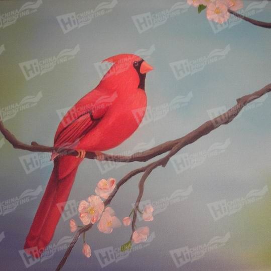 Bird Canvas Printing