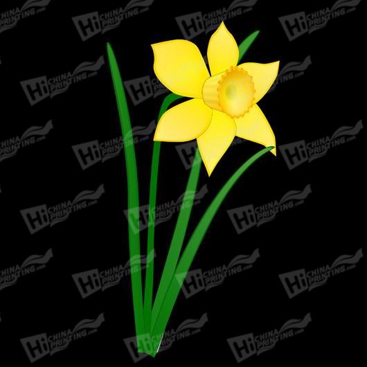 Daffodil Canvas Printing