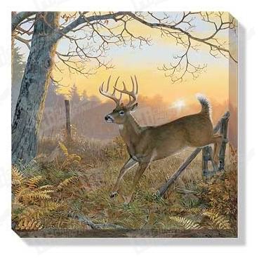 Deer Canvas Printing