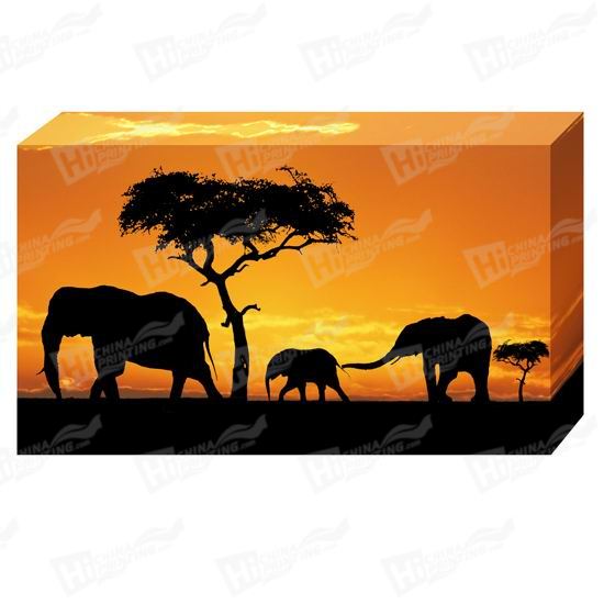 Elephant Canvas Printing