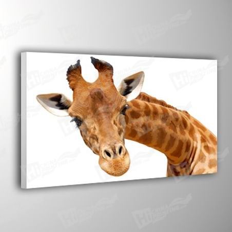 Giraffe Canvas Printing