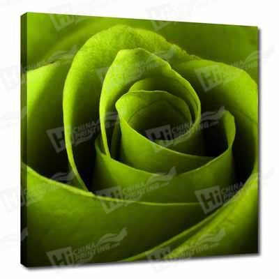 Green Flower Canvas Printing