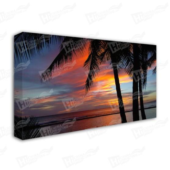 Palm Tree Canvas Printing