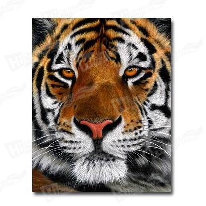 Tiger Canvas Printing