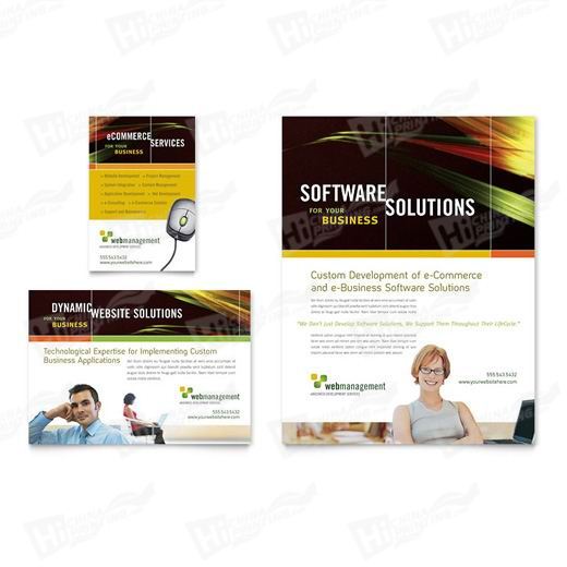 Internet Software Flyers Printing