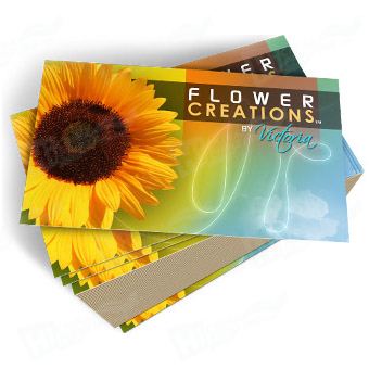 Full Color Business Postcard Printing