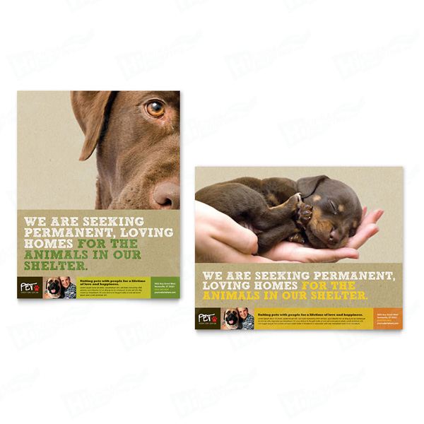 Animal Shelter & Pet Adoption Posters Printing