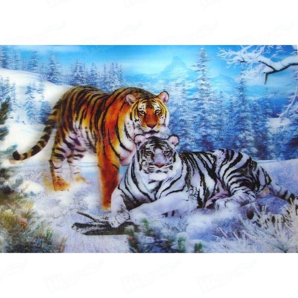 PET 3D Lenticular Posters Printing